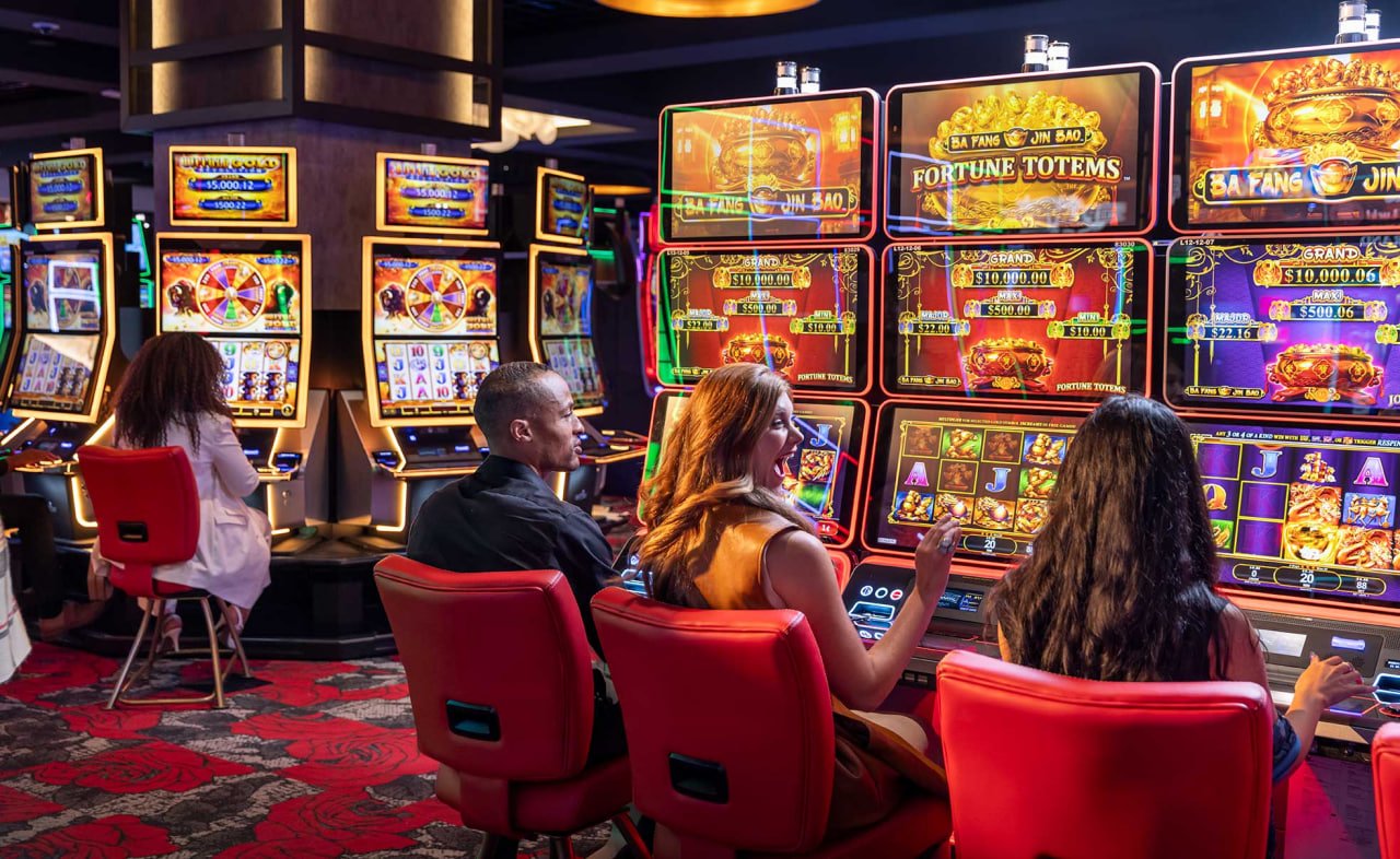 vipbet